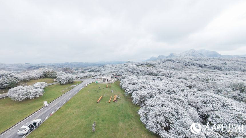 航拍雪后的百里杜鵑景區(qū)。人民網(wǎng)記者 涂敏攝