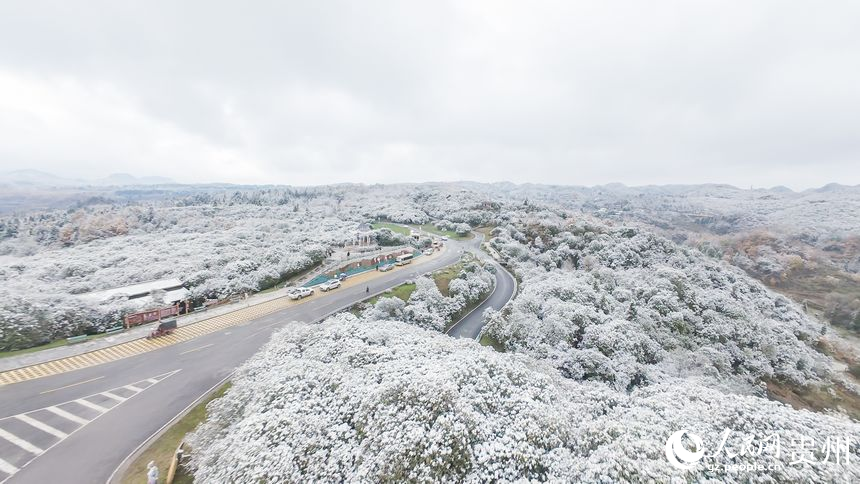 航拍雪后的百里杜鵑景區(qū)。人民網(wǎng)記者 涂敏攝
