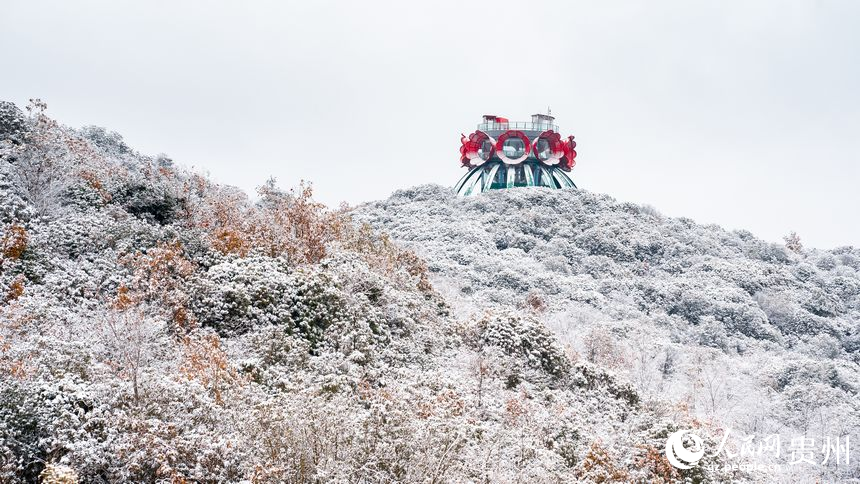 雪后的百里杜鵑景區(qū)。人民網(wǎng)記者 涂敏攝