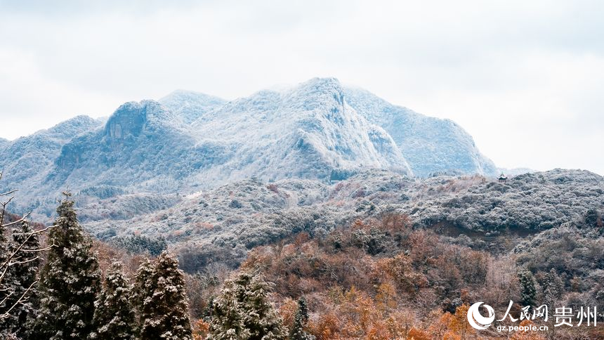 雪后的百里杜鵑景區(qū)。人民網(wǎng)記者 涂敏攝