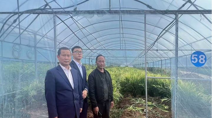工行興義貞豐支行深入生姜種植基地進(jìn)行實(shí)地查看。