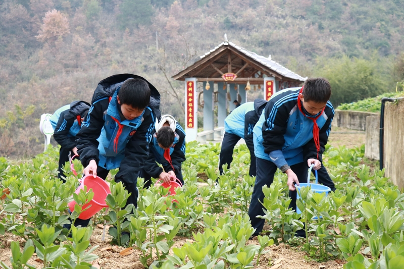 2 圖為學生開展勞動實踐 鄭孟庭 攝