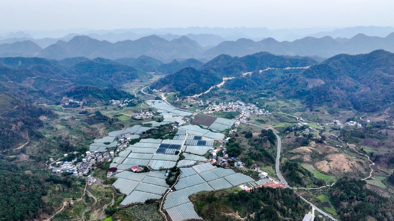 逢亭鎮(zhèn)床井村蔬菜種植基地