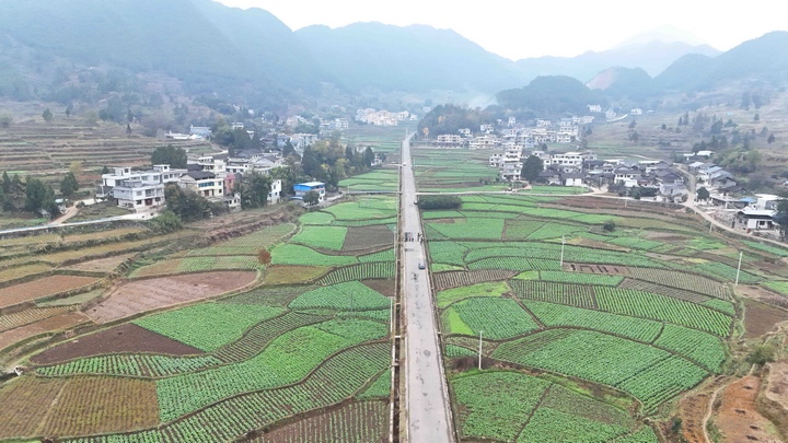 銅仁加強(qiáng)油菜田管 確保安全越冬。