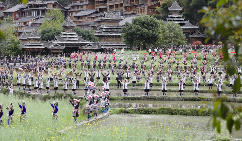 8、黎平縣侗族歌手在田園展示侗族大歌。吳光輝 攝