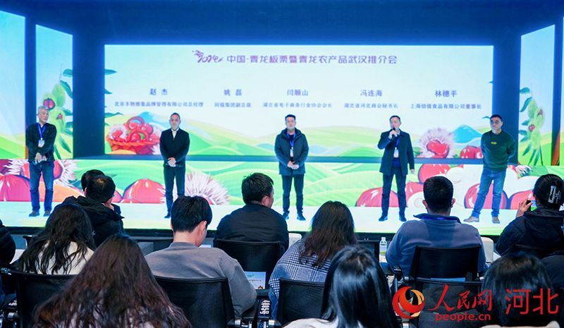 湖北、河北兩地行業(yè)協(xié)會和企業(yè)代表上臺分享如何共享商機，共促合作。人民網(wǎng)記者 周博攝