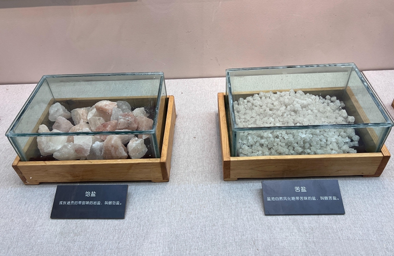 6、館內展陳不同鹽類。習水融媒供圖