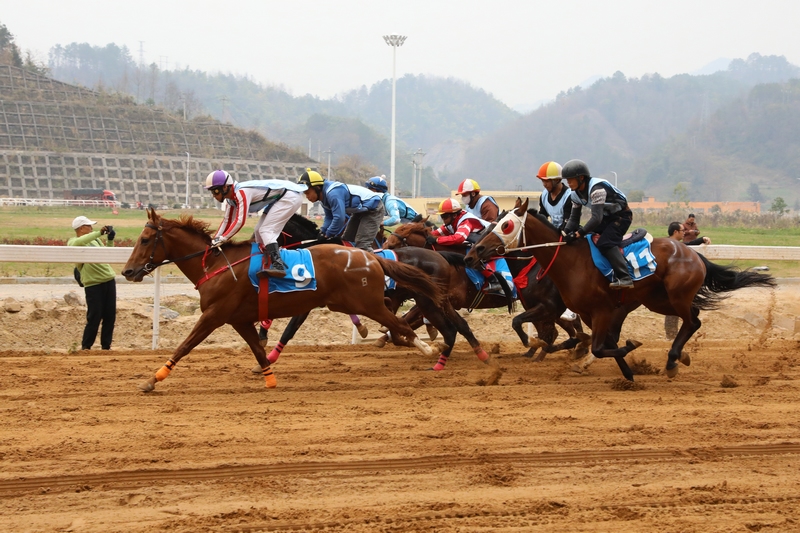 3 “村馬”比賽現(xiàn)場