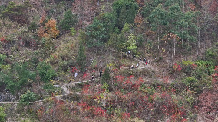 活動現(xiàn)場。