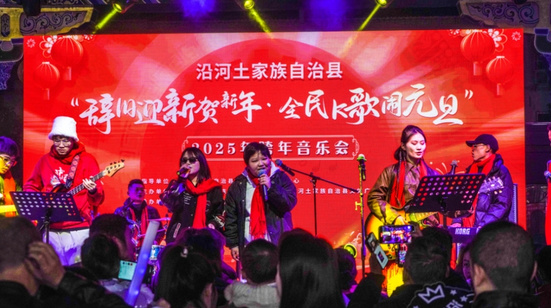 2 跨年音樂會 (2)