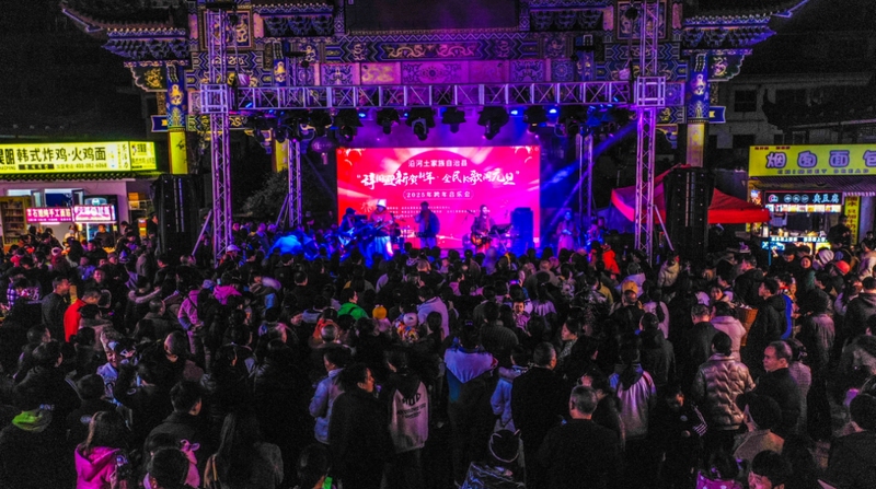 4 跨年音樂會 (3)