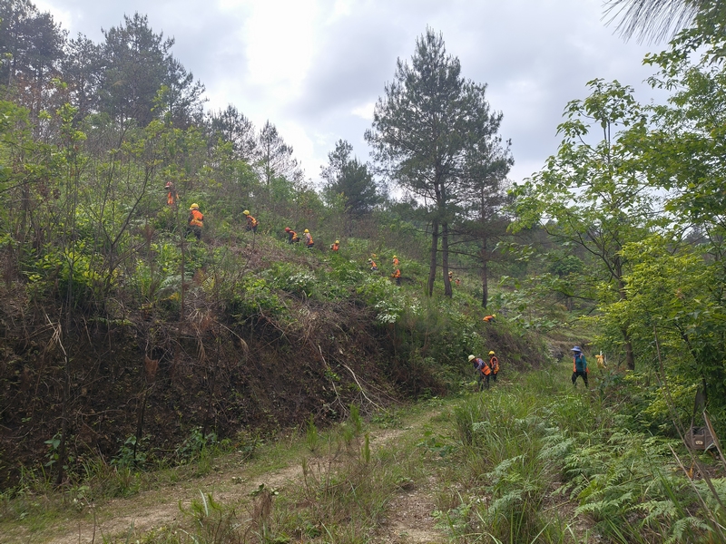 平塘縣生物防火阻隔帶項目建設(shè)林地清理施工現(xiàn)場