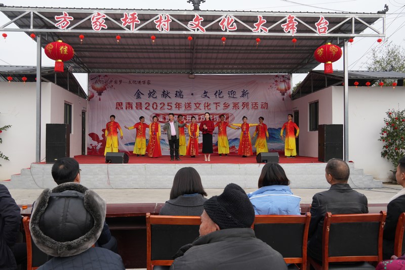 歌伴舞表演（蘇暢莉  攝).JPG