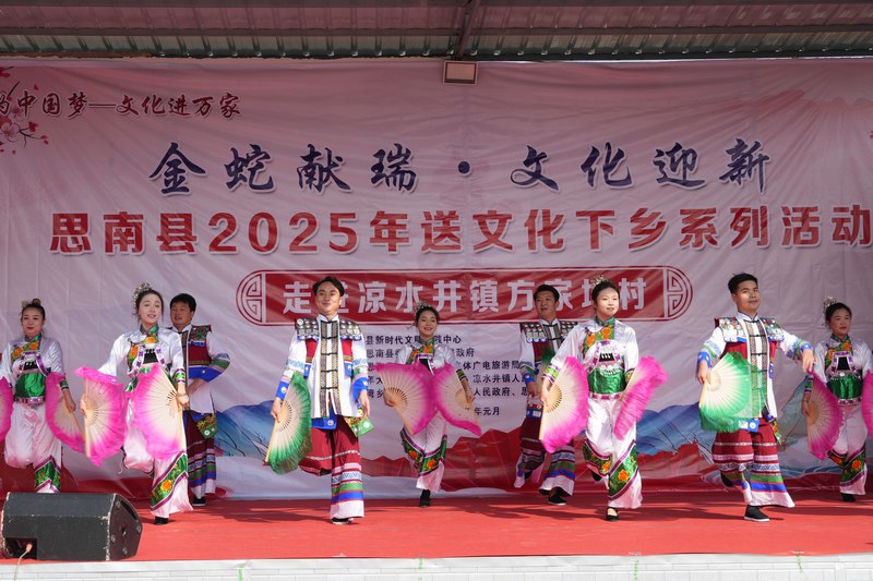 文藝演出（蘇暢莉攝）.JPG