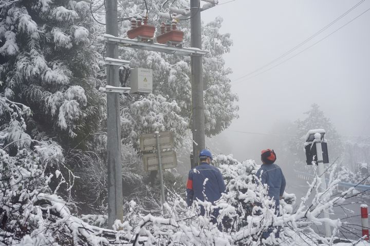 工作人員對供電線路和設(shè)備進行巡視、維護。金莎 攝 (2).jpg