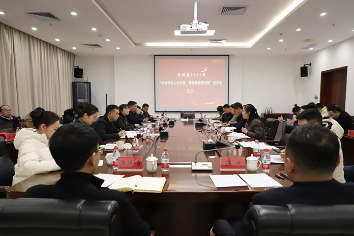 貴州省2025年“共青團(tuán)與人大代表、政協(xié)委員面對(duì)面”座談會(huì)現(xiàn)場(chǎng)。共青團(tuán)貴州省委 供圖