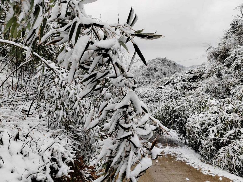 隨處可見的冰雪世界（習(xí)水縣融媒體中心供圖）.jpg