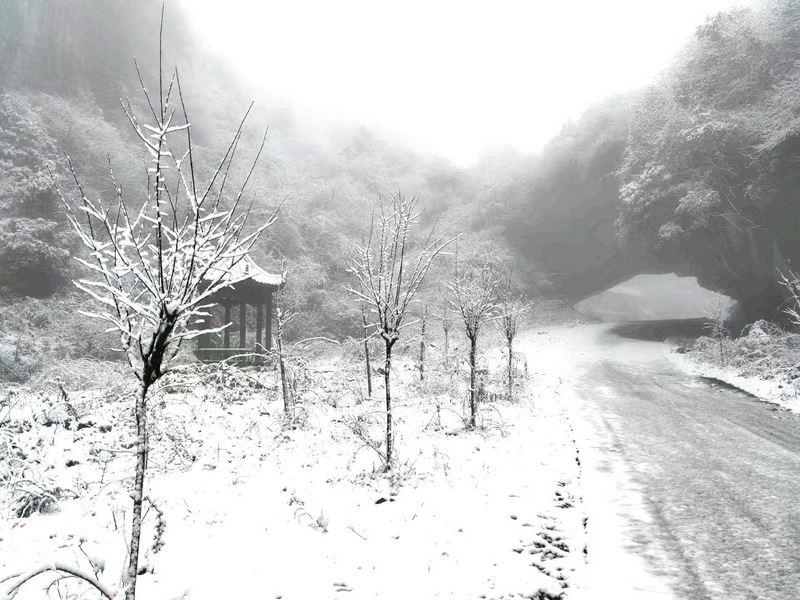 雪景籠罩下的仙源鎮(zhèn)一角（習(xí)水縣融媒體中心供圖）.jpg