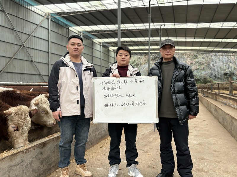 3、保險工作人員來到遵義森長農業(yè)發(fā)展有限公司驗標。.JPG