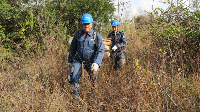 使用“外骨骼”背運絕緣子串穿越叢林上山（盧關文 攝） (1).JPG