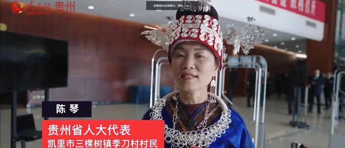 貴州省人大代表陳琴：傳承非遺文化 助力鄉(xiāng)村振興