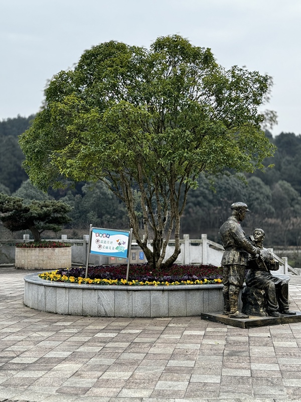濱湖音樂公園。