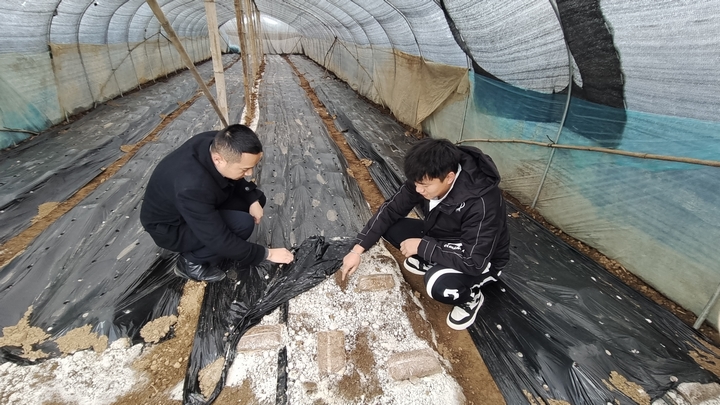 客戶經(jīng)理了解羊肚菌種植情況。