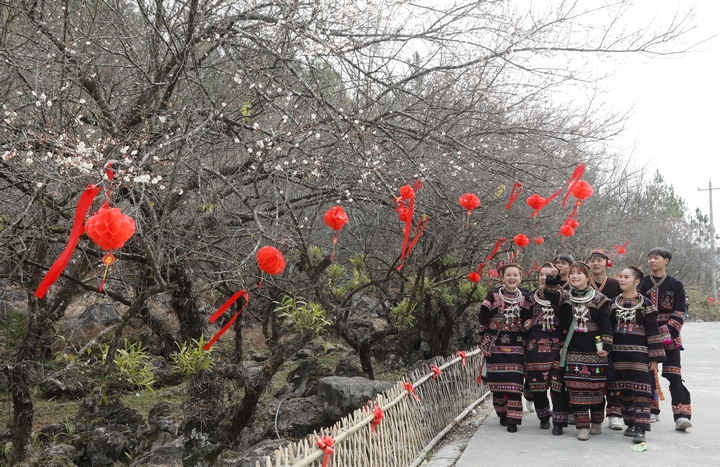 3 荔波少數(shù)民族同胞賞梅迎春，感受梅花節(jié)濃厚氛圍。戴友維攝