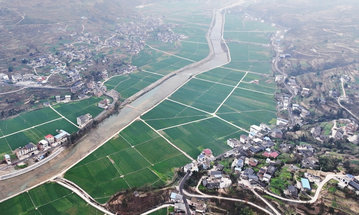 桐梓縣獅溪鎮(zhèn)高標準農(nóng)田。 陳桂良攝