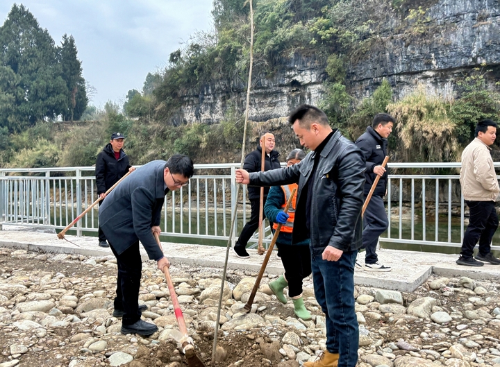 義務植樹現(xiàn)場。