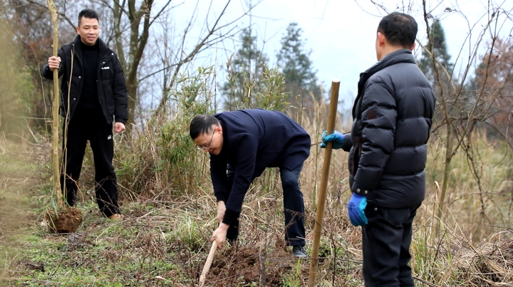 3、楚米鎮(zhèn)干部職工揮鍬鏟土。 陳桂良攝.jpg