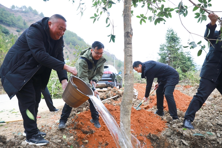 劍河縣義務(wù)植樹活動現(xiàn)場。潘文攝 (3).jpg