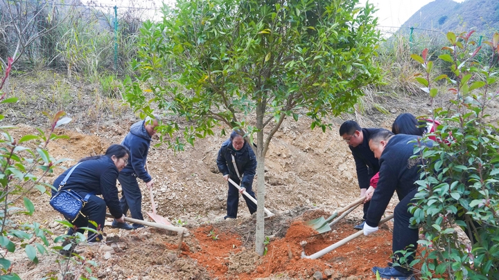 劍河縣義務(wù)植樹活動現(xiàn)場。彭開燚攝。 (3).jpg