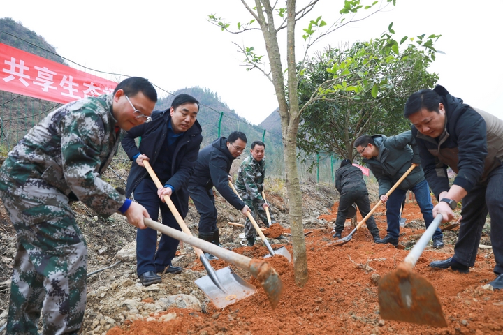 劍河縣義務(wù)植樹活動現(xiàn)場。潘文攝 (6).jpg
