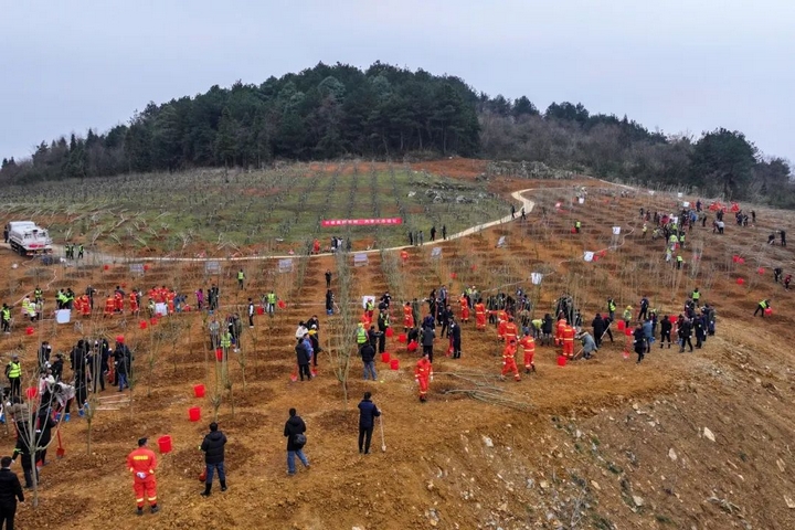 2025年義務(wù)植樹活動現(xiàn)場。