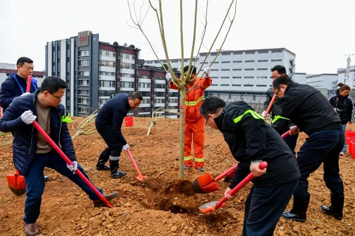 2025年義務(wù)植樹活動現(xiàn)場。
