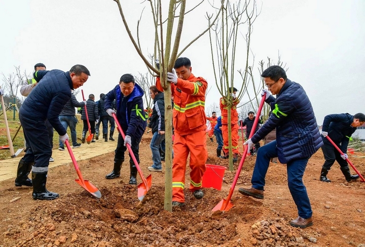 2025年義務(wù)植樹活動現(xiàn)場。