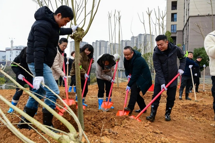 2025年義務(wù)植樹活動現(xiàn)場。
