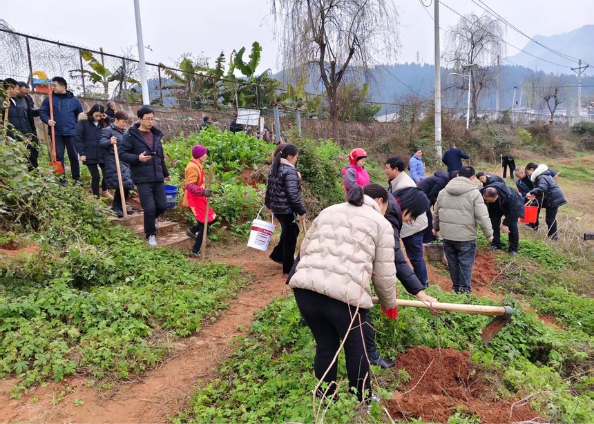 同民鎮(zhèn)植樹點(diǎn)。