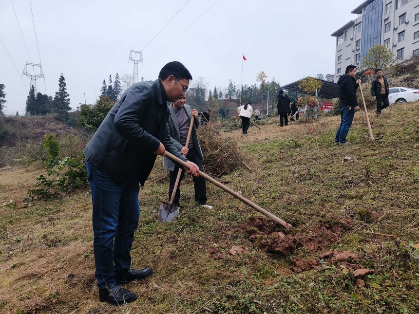 大坡鎮(zhèn)干部們植樹一角。