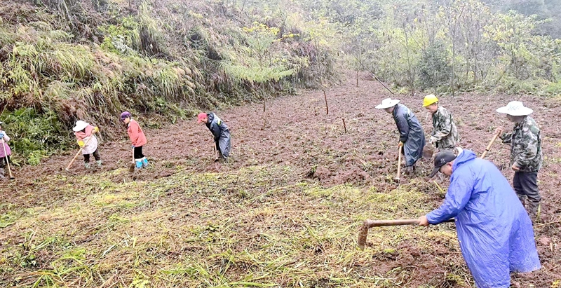 村民們主動(dòng)幫忙清理雜草（習(xí)水縣融媒體中心供圖）.jpg