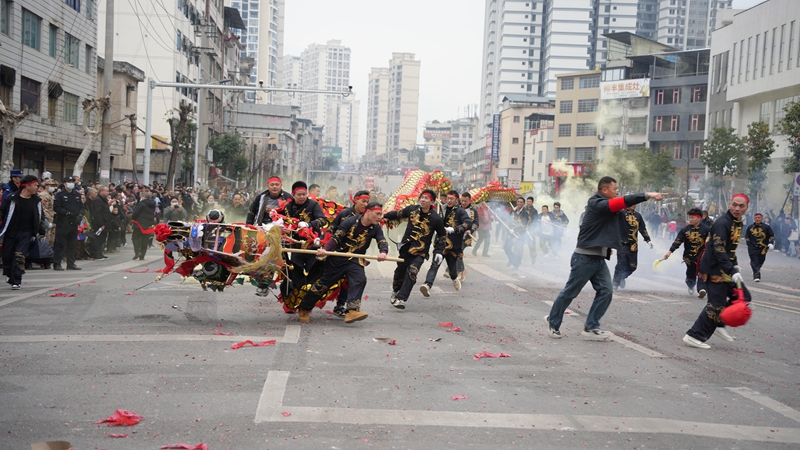 3金蛇舞動(dòng)鬧元宵 王顯攝.JPG