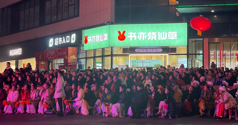 5、觀眾觀看秧歌展演。.jpg