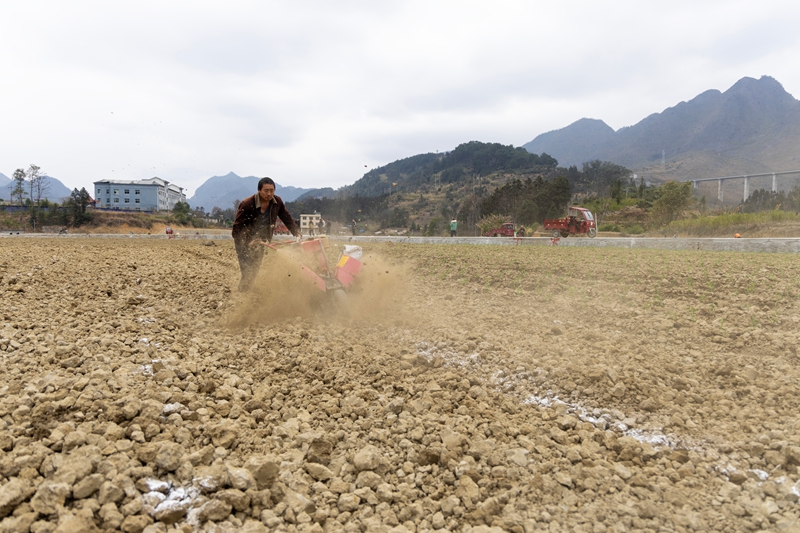 村民們正在翻犁。