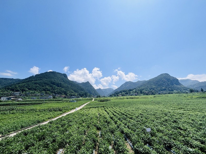 吼灘壩區(qū)產(chǎn)業(yè)正蓬勃發(fā)展。