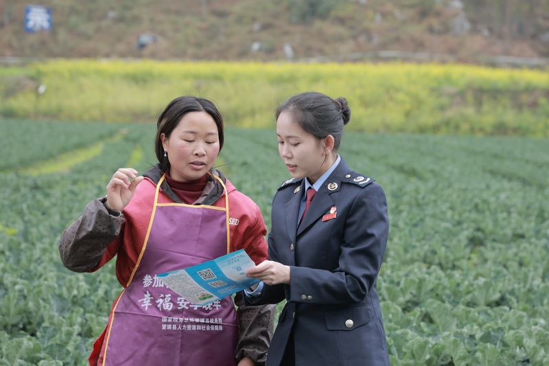 望謨縣稅務(wù)局稅費工作服務(wù)隊向采摘工人了解種植增收情況，并做好城鄉(xiāng)兩險政策宣傳。羅睿思攝