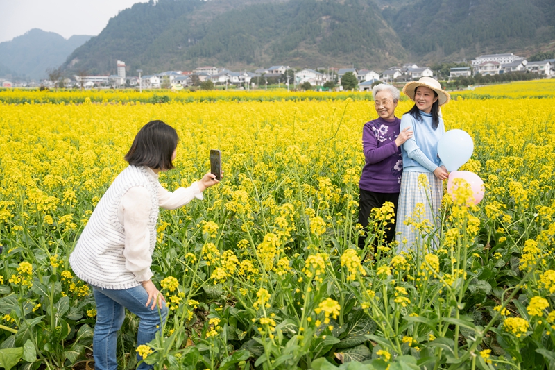 2 圖為游客前來踏青賞花打卡.jpg