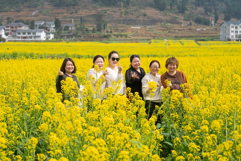 3 圖為游客前來踏青賞花打卡.jpg
