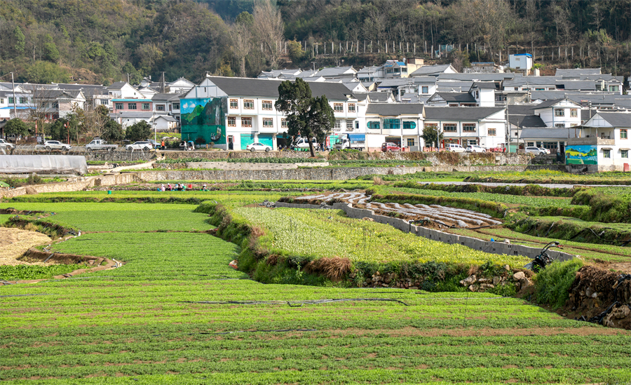 風景優(yōu)美的趙官村。