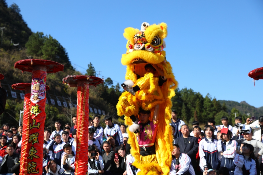 廣東佛山舞獅團(tuán)隊正在為學(xué)生們表演。楊菊梅攝